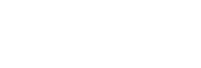 Savante Solutions